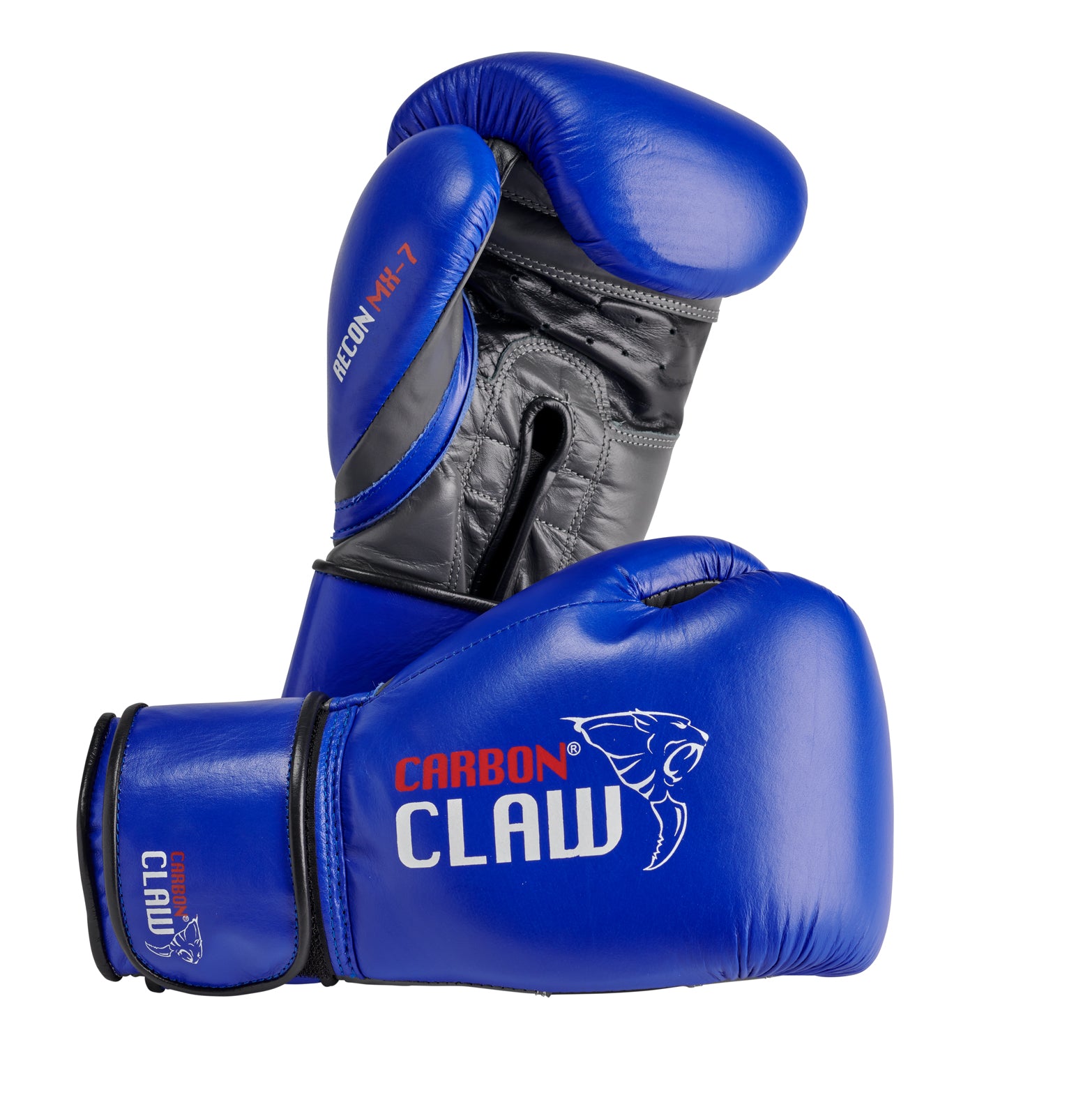 Carbon Claw Recon Sparring Gloves