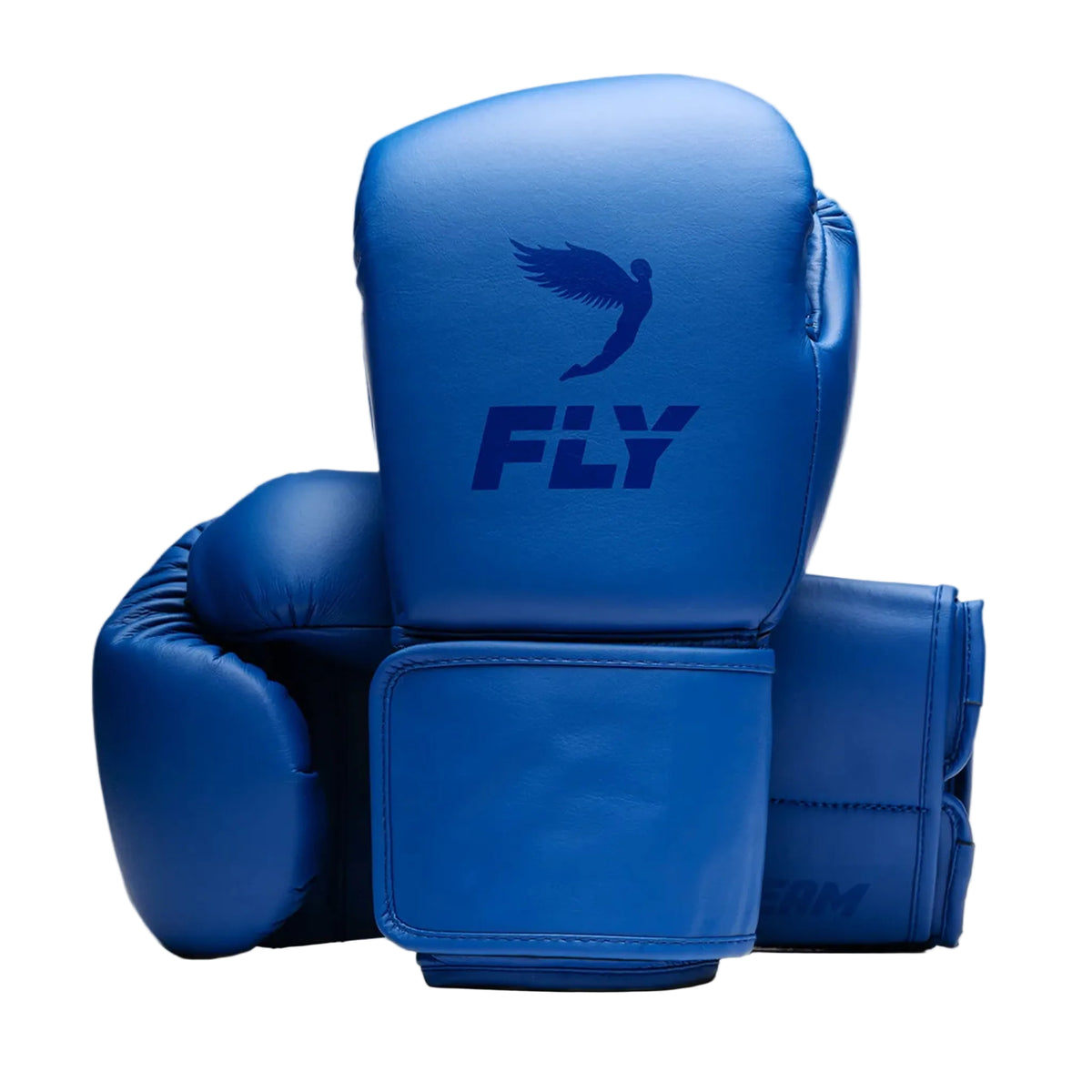 Fly Team boxing Gloves Blue