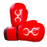 Sting Competition Approved Boxing Gloves red