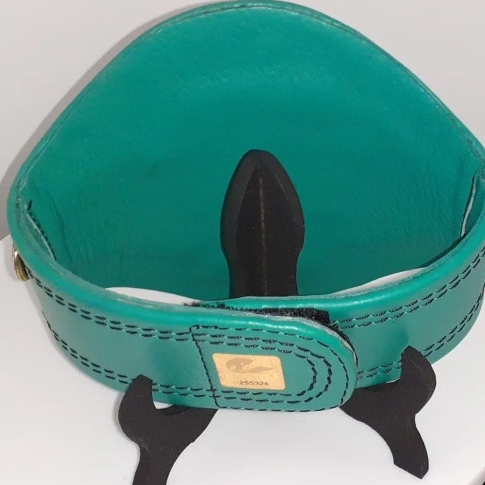 WBC Mini Championship Belt