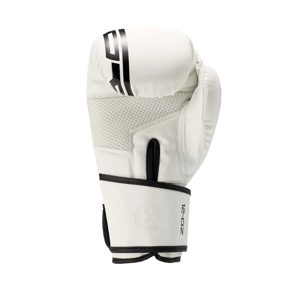Sting Armaplus Boxing Gloves One of the Best For Beginners Seconds Out Fight Store