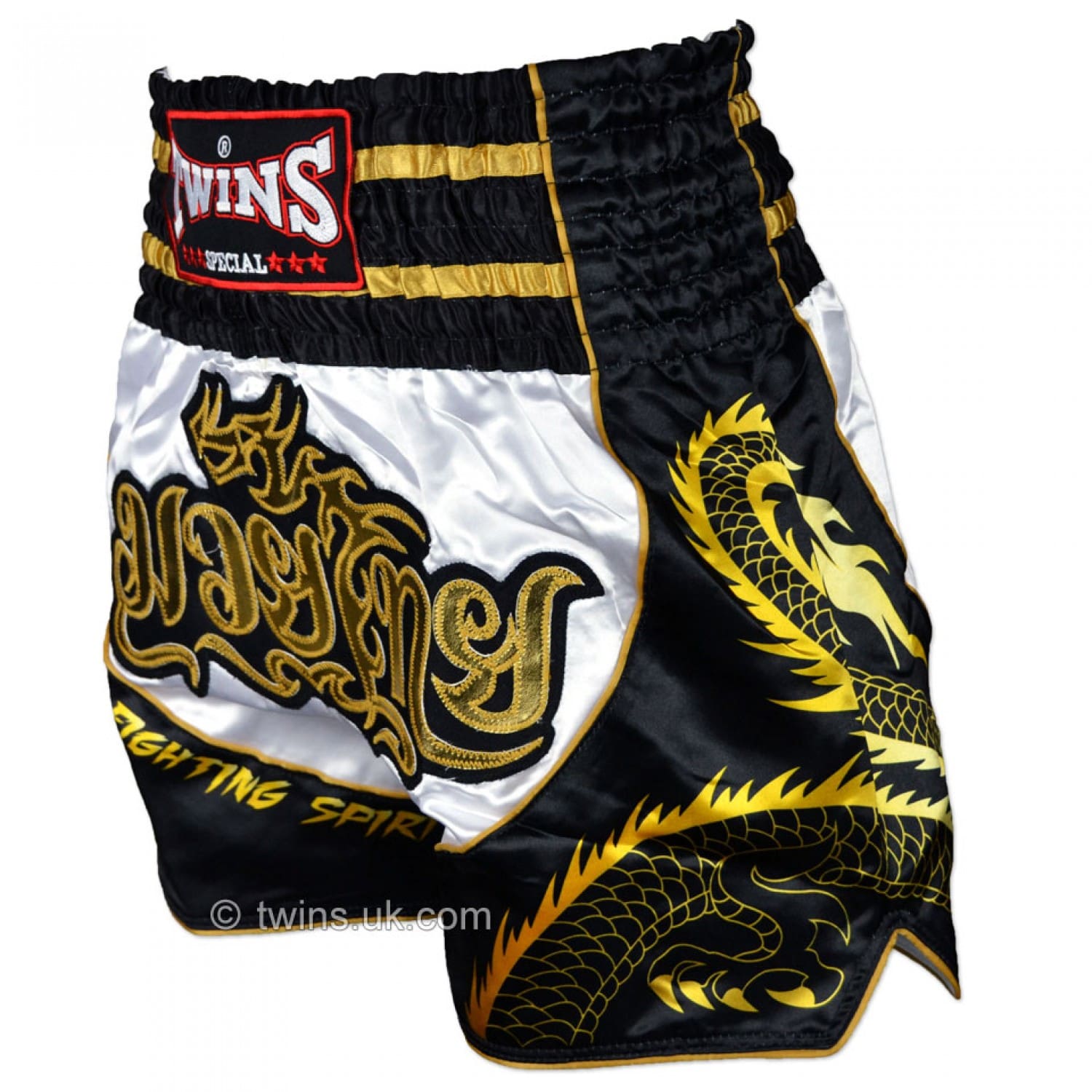 Twins Dragon Muay Thai Shorts